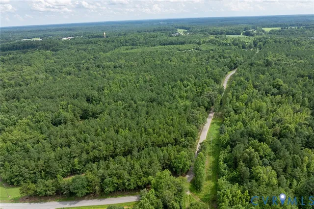 a view of a lush green forest with trees and some houses