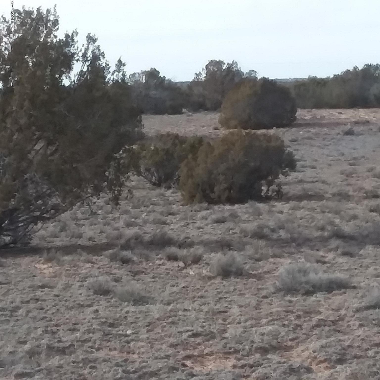 005 Sec 31 T18n R28e St. Johns, AZ 85936 - Photo 1 of 4