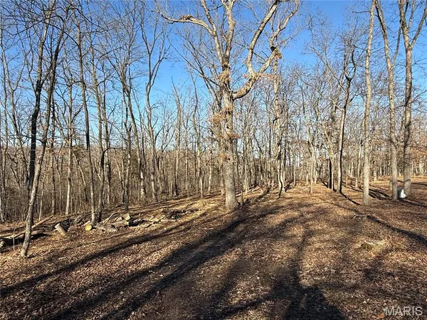 $222,000 | 1920 State Rd Ee, Montgomery City, MO 63361