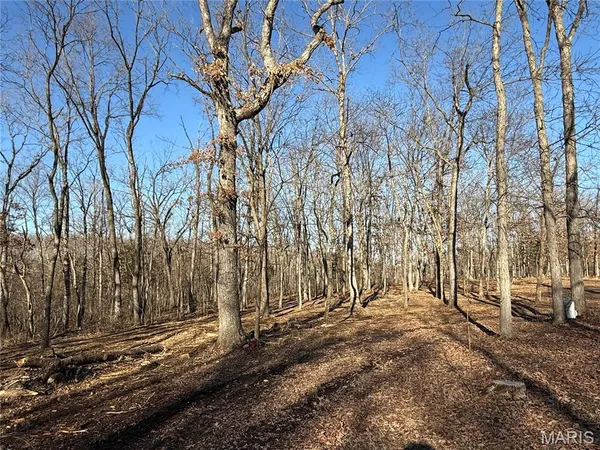 $222,000 | 1920 State Rd Ee, Montgomery City, MO 63361