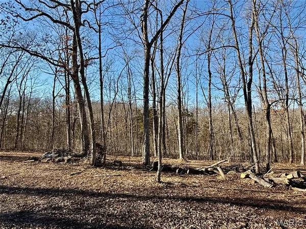 $222,000 | 1920 State Rd Ee, Montgomery City, MO 63361