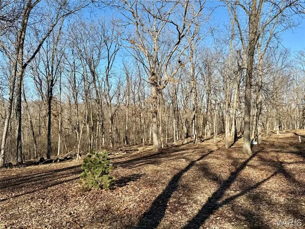 $222,000 | 1920 State Rd Ee, Montgomery City, MO 63361