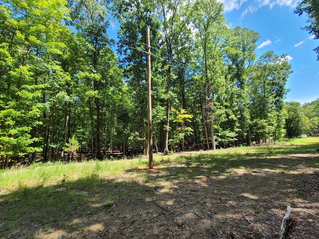 735 Mt Alto Road Esmont, VA 22937 - Photo 16 of 23 Gallery Image 16