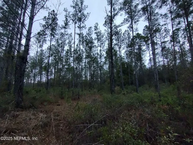 a view of outdoor space and yard