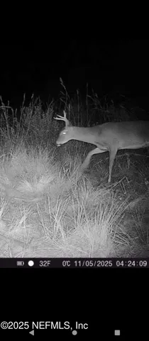 a view of wooden floor