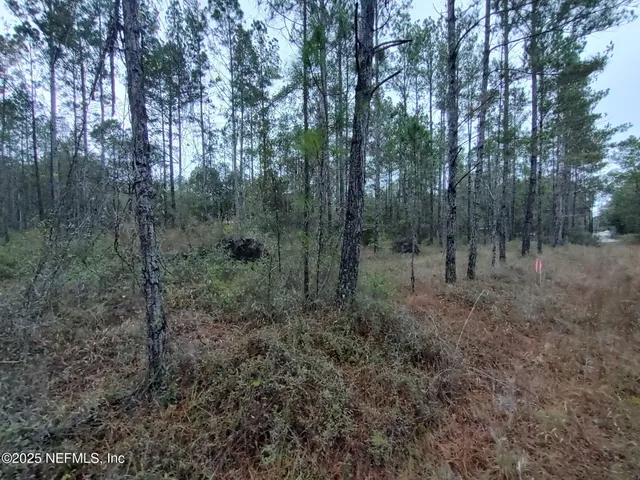 a bird view of a house