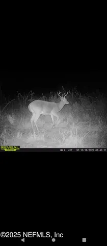 a black and white photo of a black and white wall