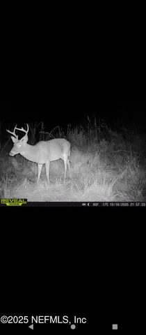 $165,000 | 1757 Whippoorwill Lane, Glen St. Mary, FL 32040