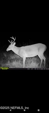 $165,000 | 1757 Whippoorwill Lane, Glen St. Mary, FL 32040