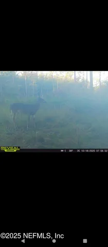 $165,000 | 1757 Whippoorwill Lane, Glen St. Mary, FL 32040