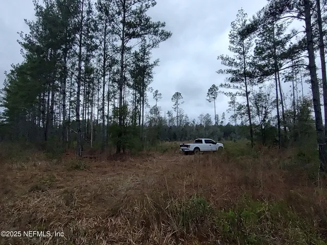 a view of outdoor space with green field and trees