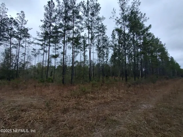 a view of outdoor space and yard