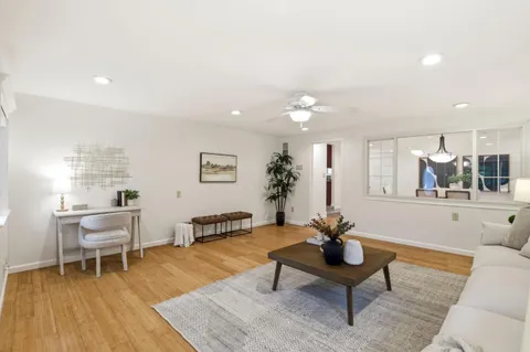 a living room with furniture a rug and a potted plant