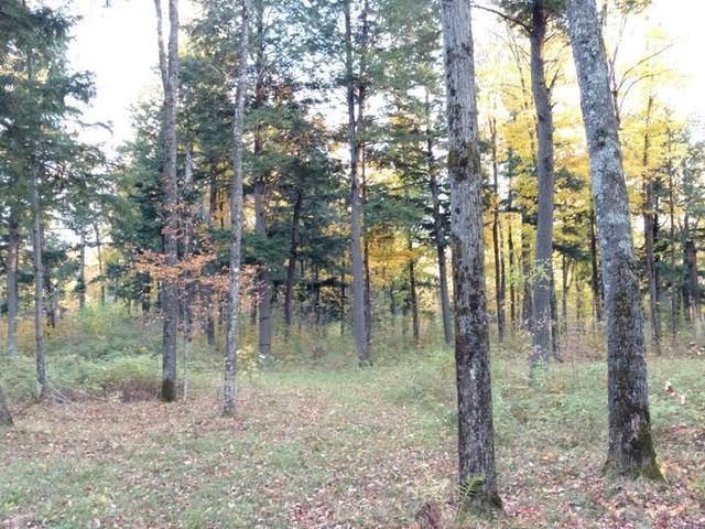 On Power Line Road Phillips, WI 54555 - Photo 19 of 20 Gallery Image 19
