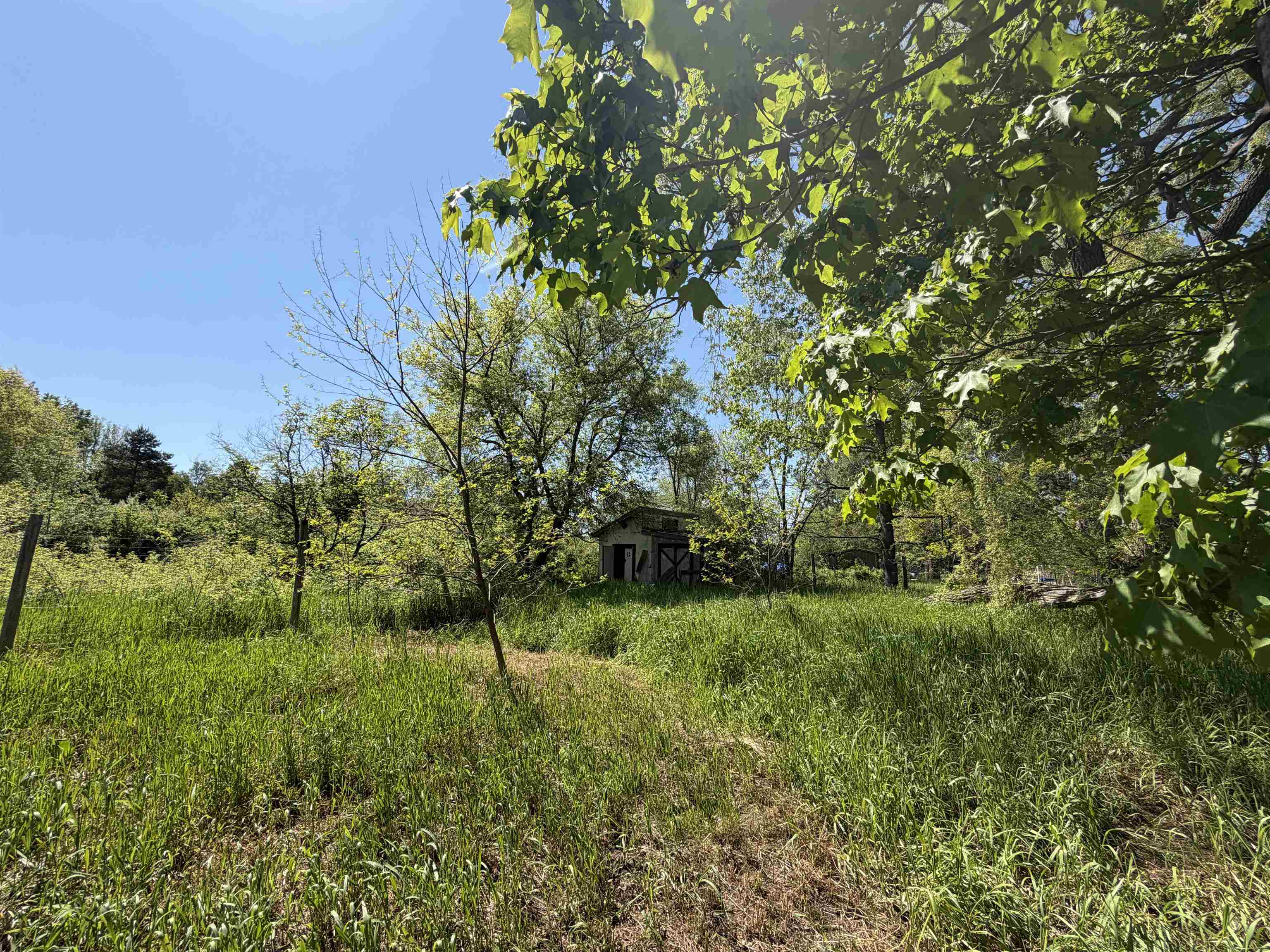 9359 Valley Road Northwest Rapid City, MI 49676 - Photo 8 of 21
