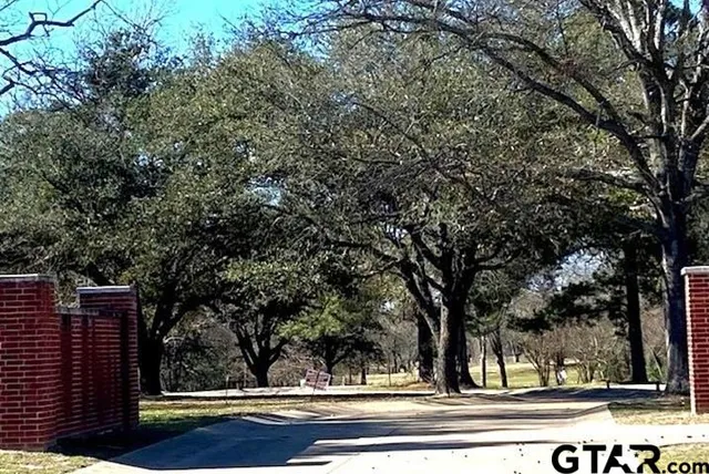 a view of a yard with large trees