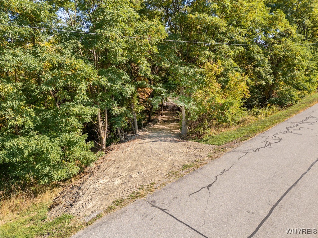 V/l Dry Bridge Road Alexander, NY 14005 - Photo 2 of 12