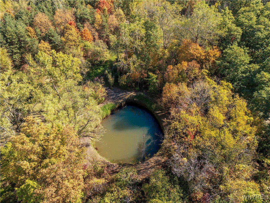 V/l Dry Bridge Road Alexander, NY 14005 - Photo 4 of 12