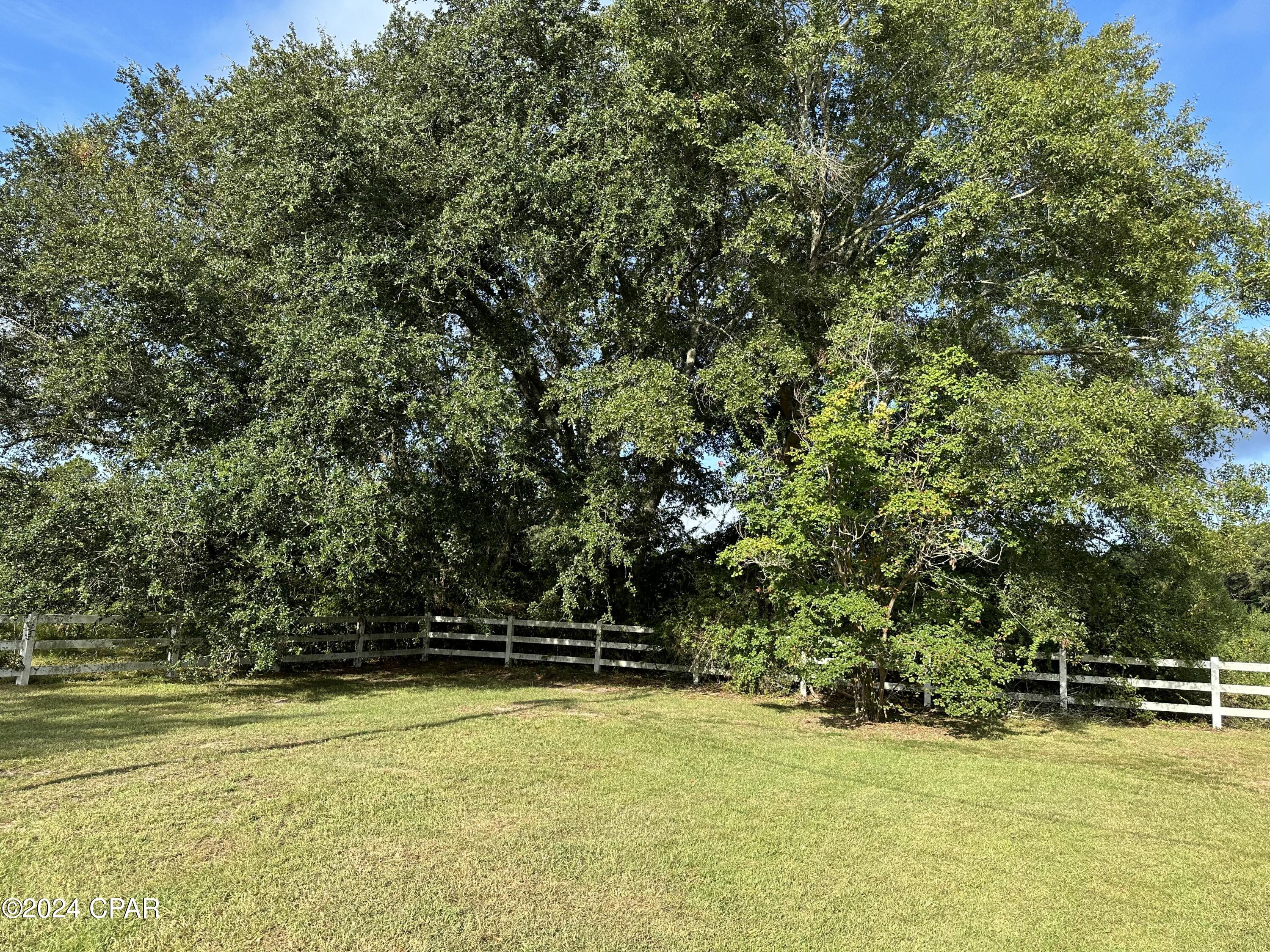 4797 Smokey Road Graceville, FL 32440 - Photo 50 of 54