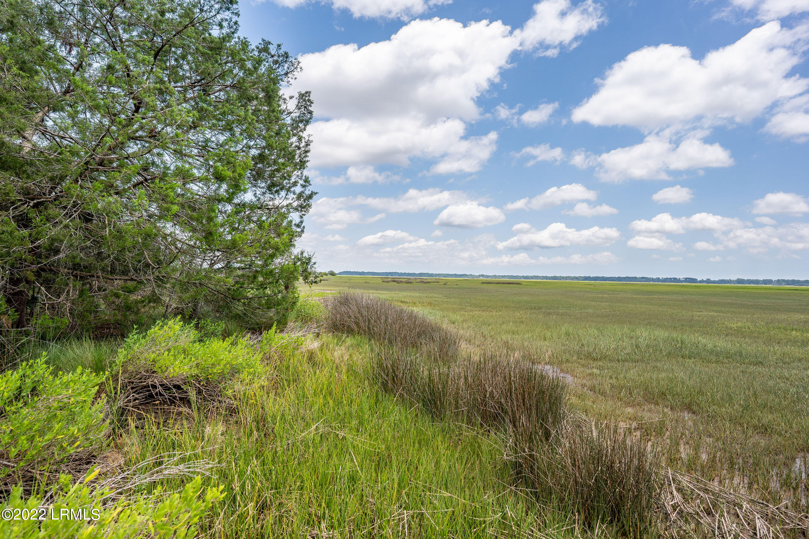 9 Little Capers Road Beaufort, SC 29907 - Photo 7 of 12 DSC06037-1.jpg-FULL