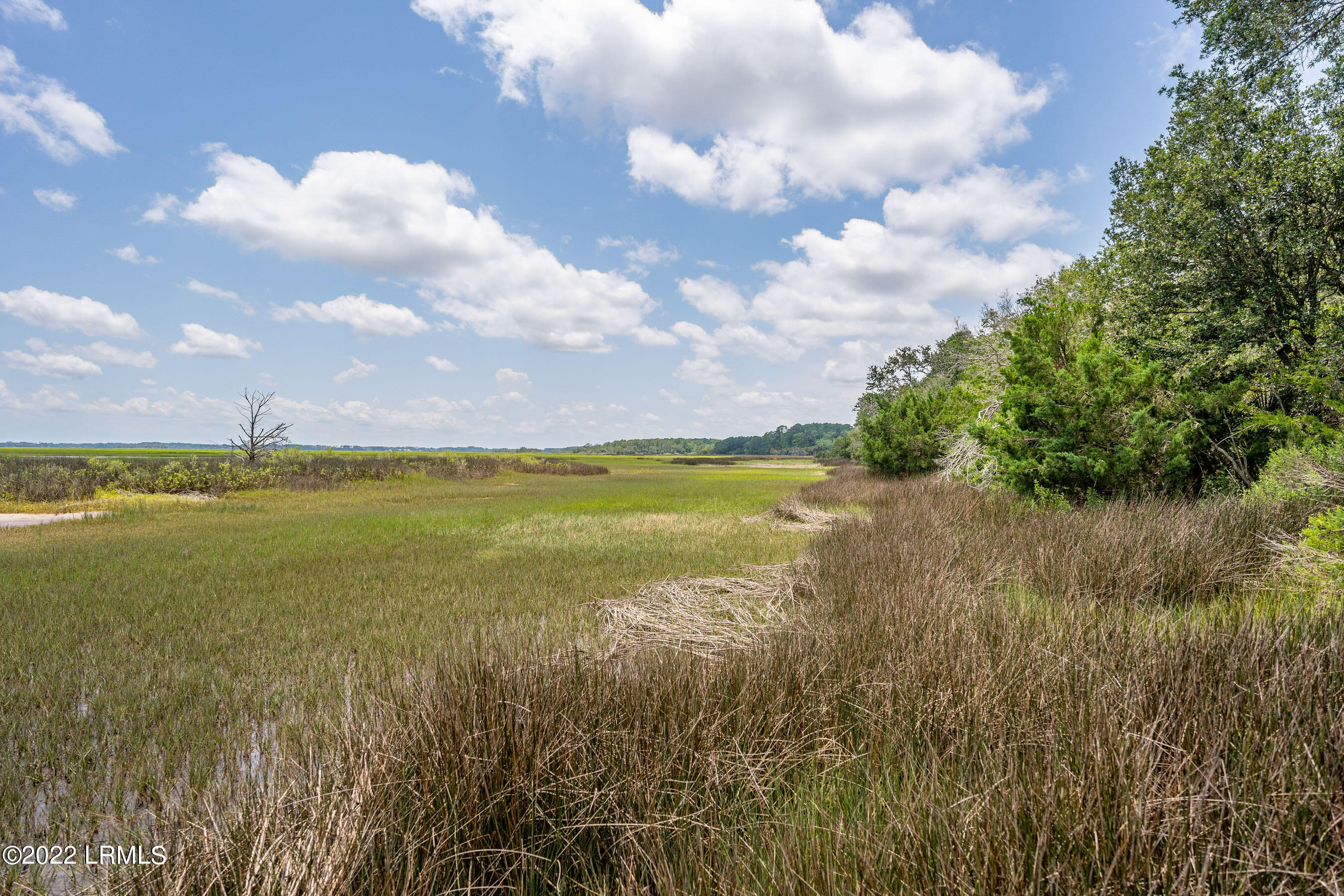 9 Little Capers Road Beaufort, SC 29907 - Photo 8 of 12 DSC06038-1.jpg-FULL