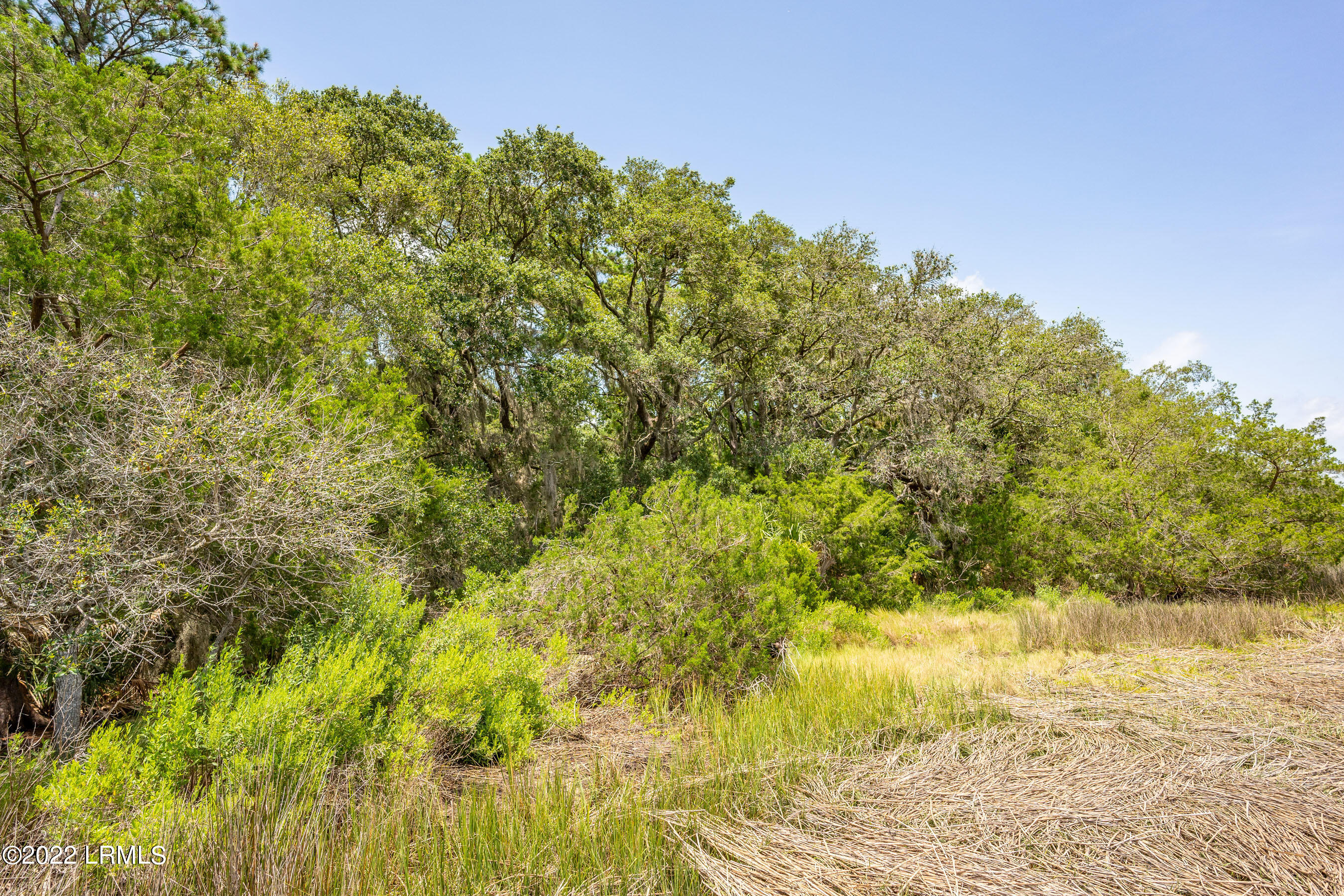 9 Little Capers Road Beaufort, SC 29907 - Photo 9 of 12 DSC06040-1.jpg-FULL