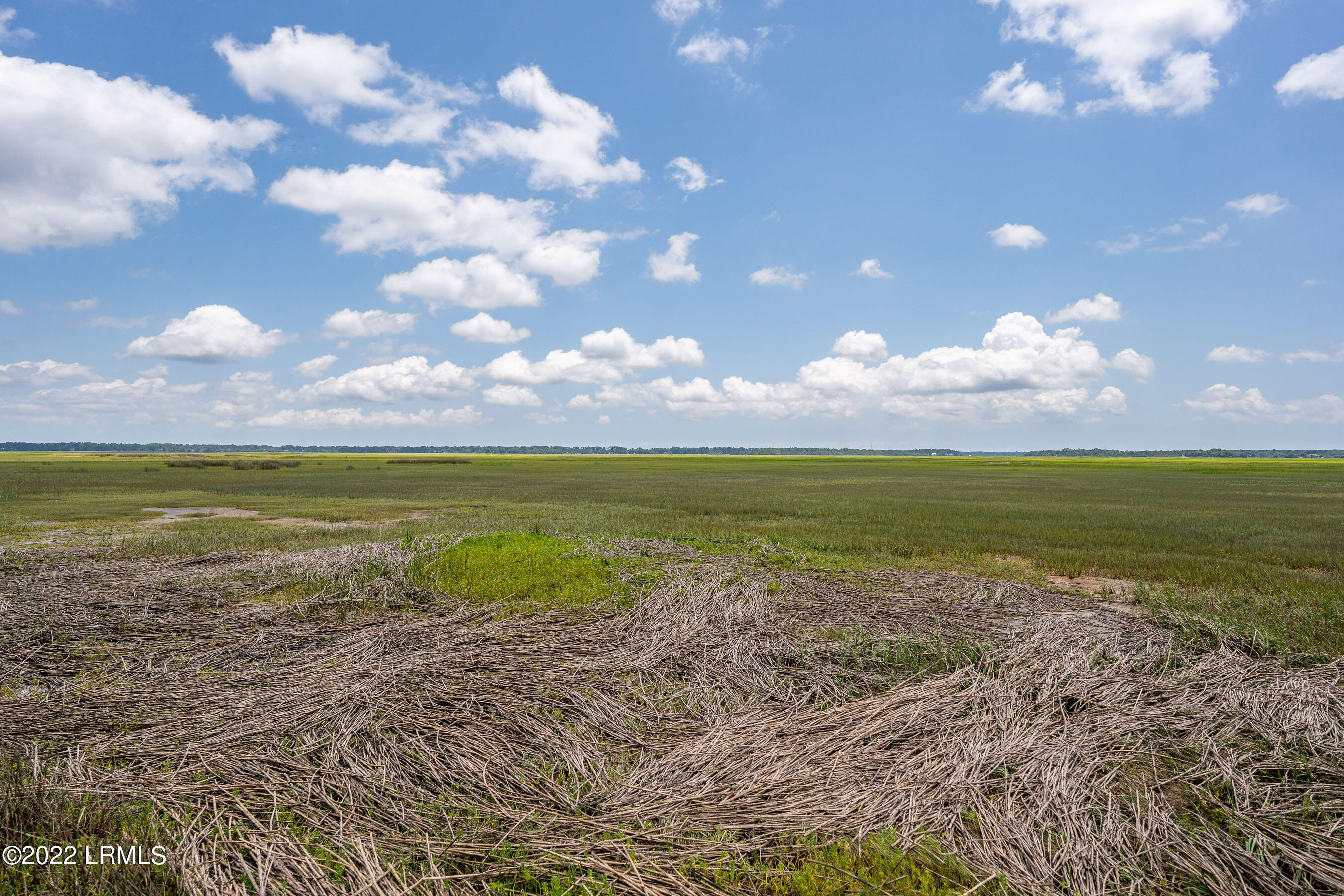 9 Little Capers Road Beaufort, SC 29907 - Photo 10 of 12 DSC06044-1.jpg-FULL