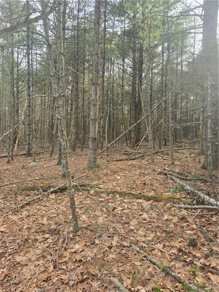 0 Alton Bradford Road Wood River Junction, RI 02894 - Photo 14 of 15