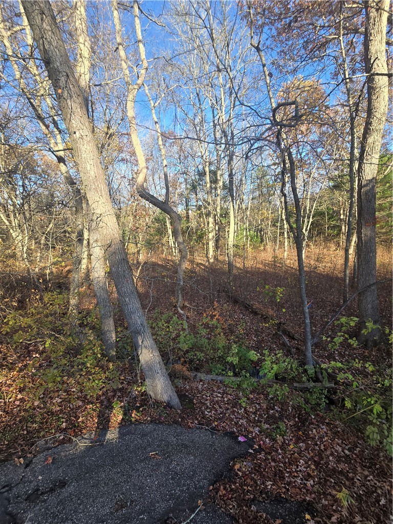 0 Alton Bradford Road Wood River Junction, RI 02894 - Photo 7 of 15