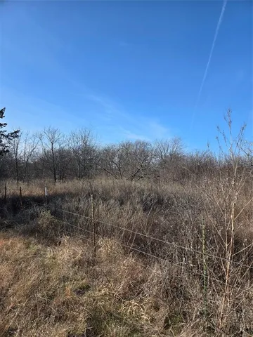a view of a field with trees in the background