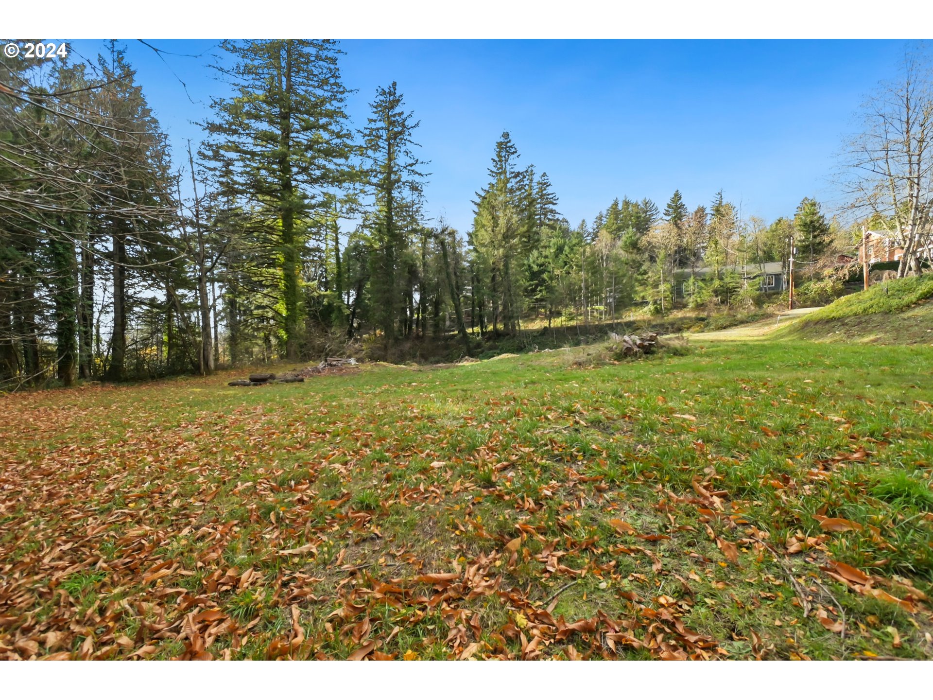 0 Northwest School (lot 2 Land) Road, Unit 2 Stevenson, WA 98648 - Photo 12 of 17