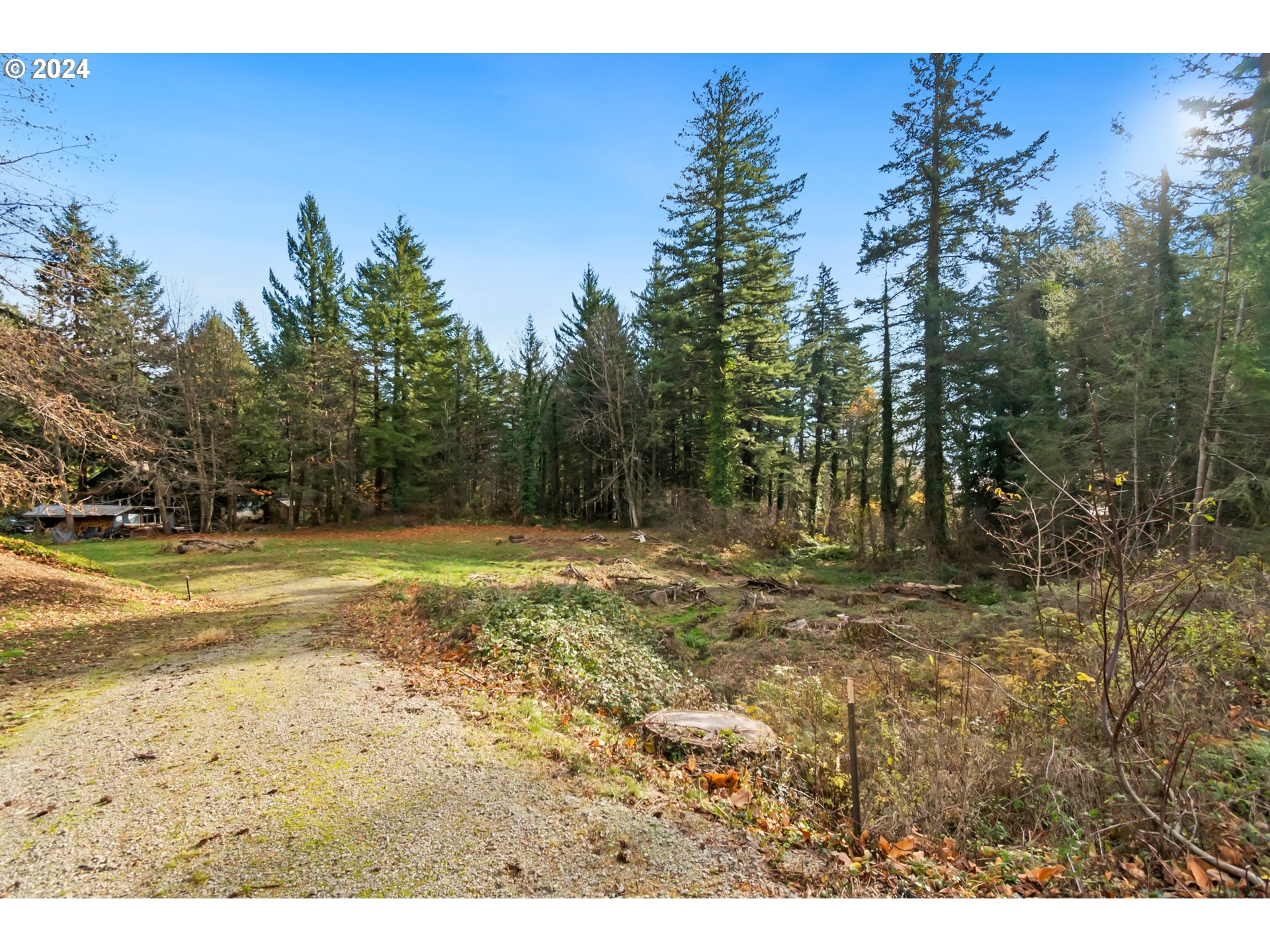 0 Northwest School (lot 2 Land) Road, Unit 2 Stevenson, WA 98648 - Photo 4 of 17