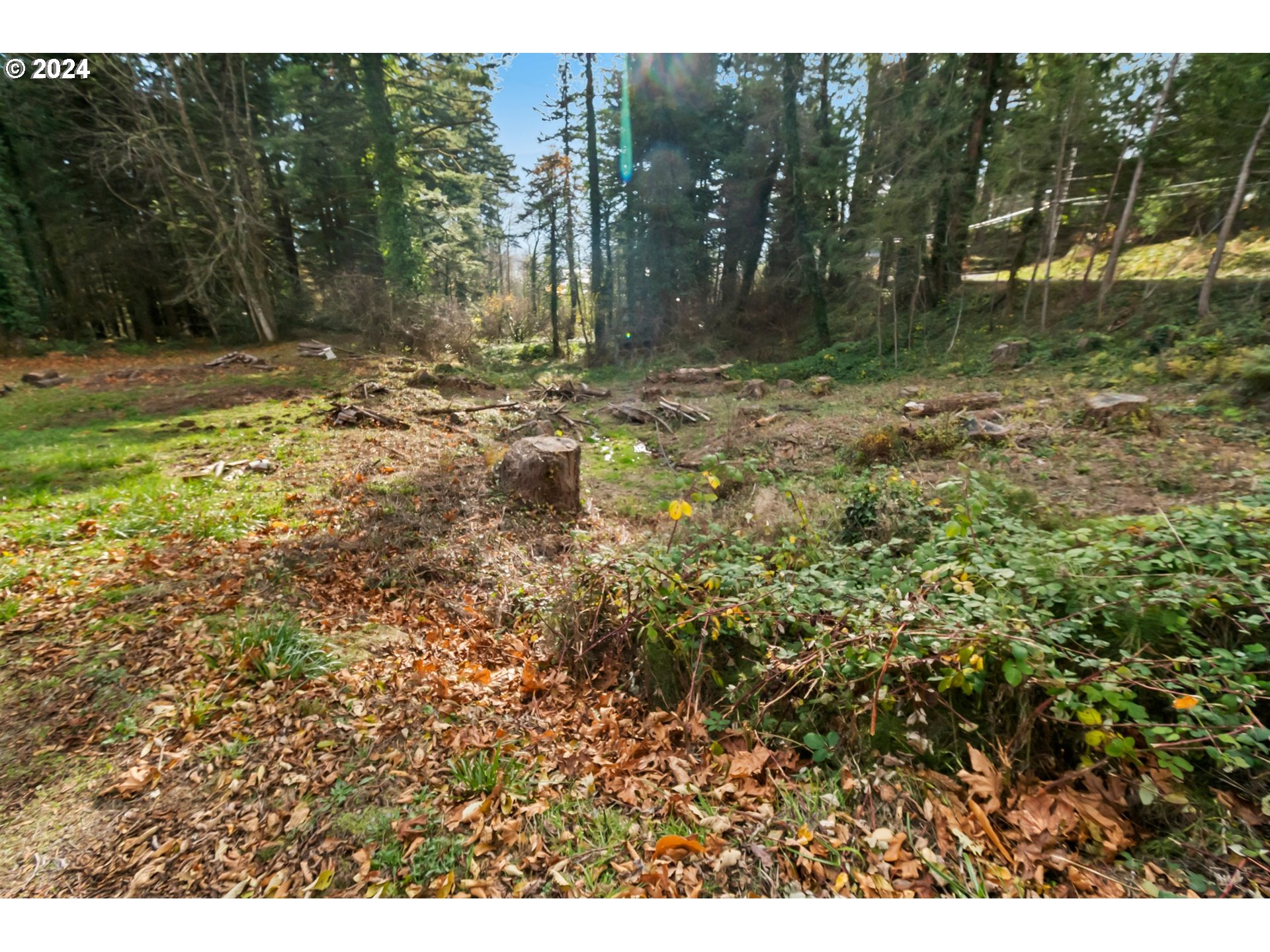 0 Northwest School (lot 2 Land) Road, Unit 2 Stevenson, WA 98648 - Photo 5 of 17