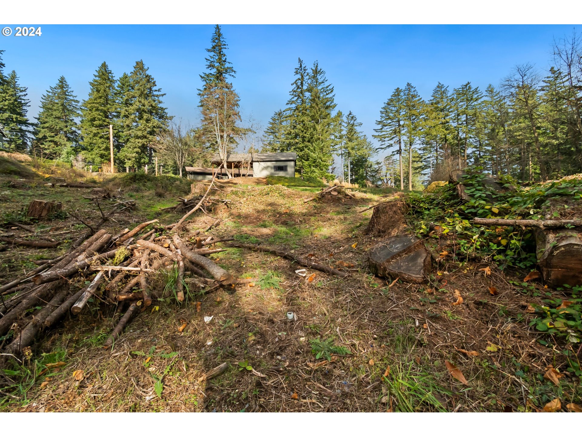 0 Northwest School (lot 2 Land) Road, Unit 2 Stevenson, WA 98648 - Photo 7 of 17