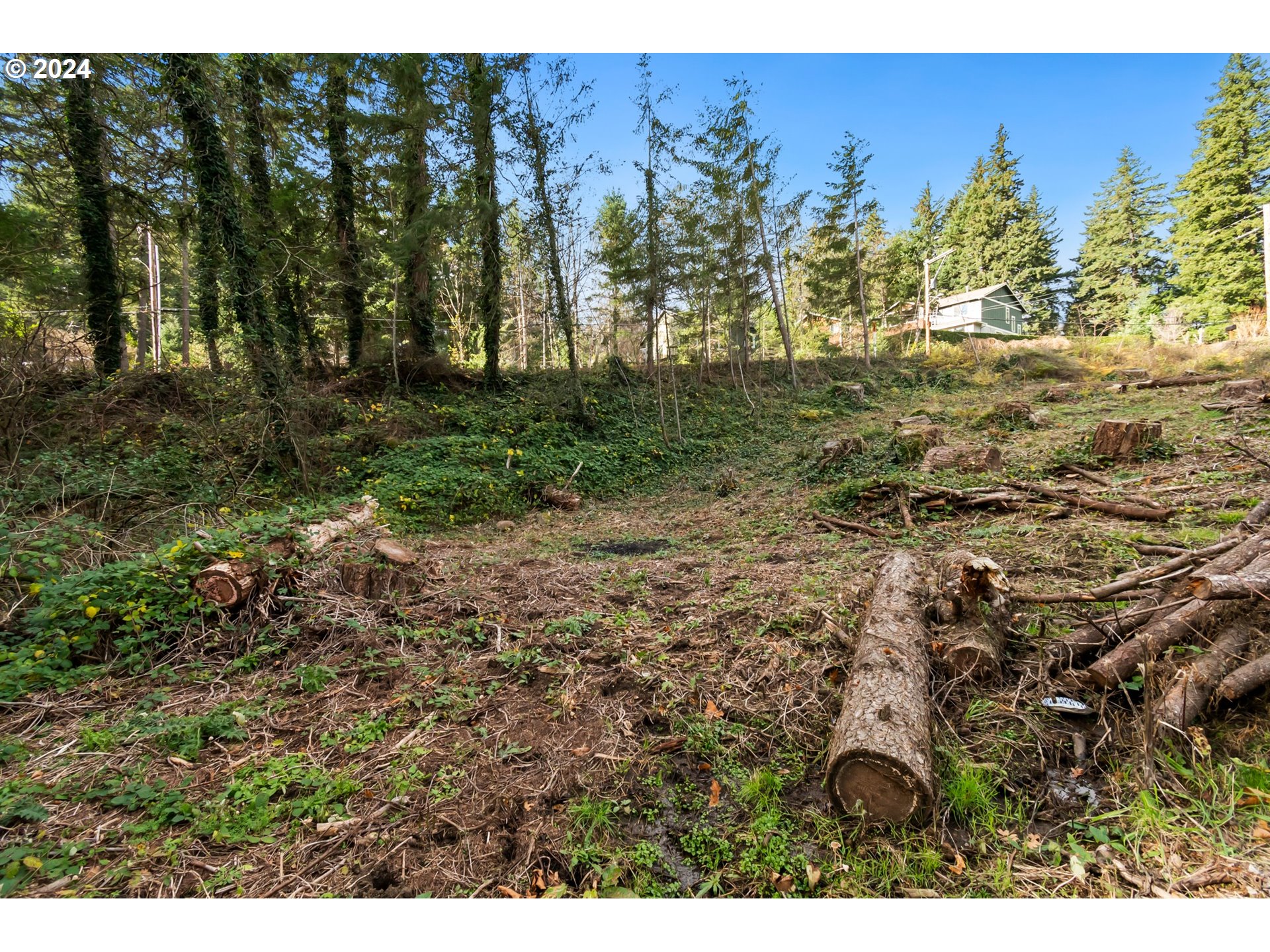 0 Northwest School (lot 2 Land) Road, Unit 2 Stevenson, WA 98648 - Photo 8 of 17