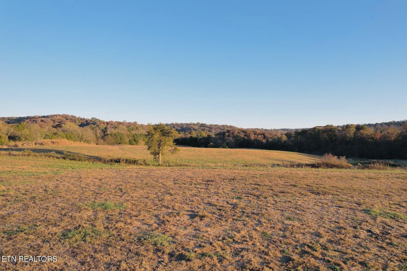 3 West Buttermilk Road Kingston, TN 37763 - Photo 3 of 6 6A86C2CD-0949-4AD0-BB9F-5A29AC0D7722