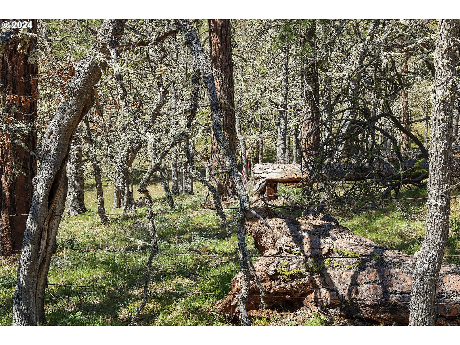 Secluded Way, Unit 4 Lyle, WA 98635 - Photo 11 of 19 a view of outdoor space and a yard