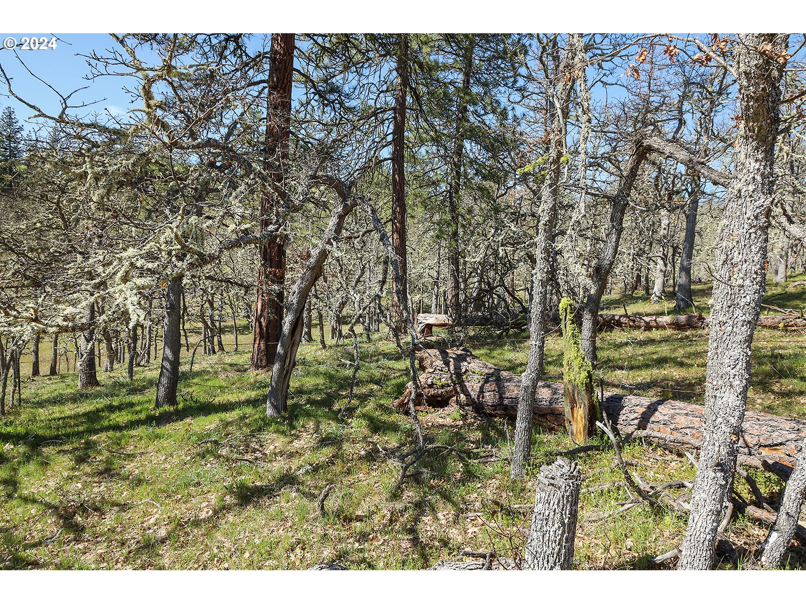 Secluded Way, Unit 4 Lyle, WA 98635 - Photo 12 of 19 a view of outdoor space with seating area