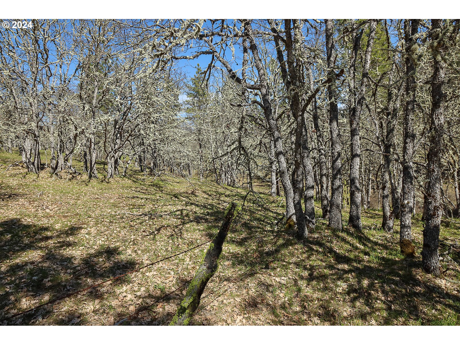 Secluded Way, Unit 4 Lyle, WA 98635 - Photo 13 of 19 a view of residential area with green space