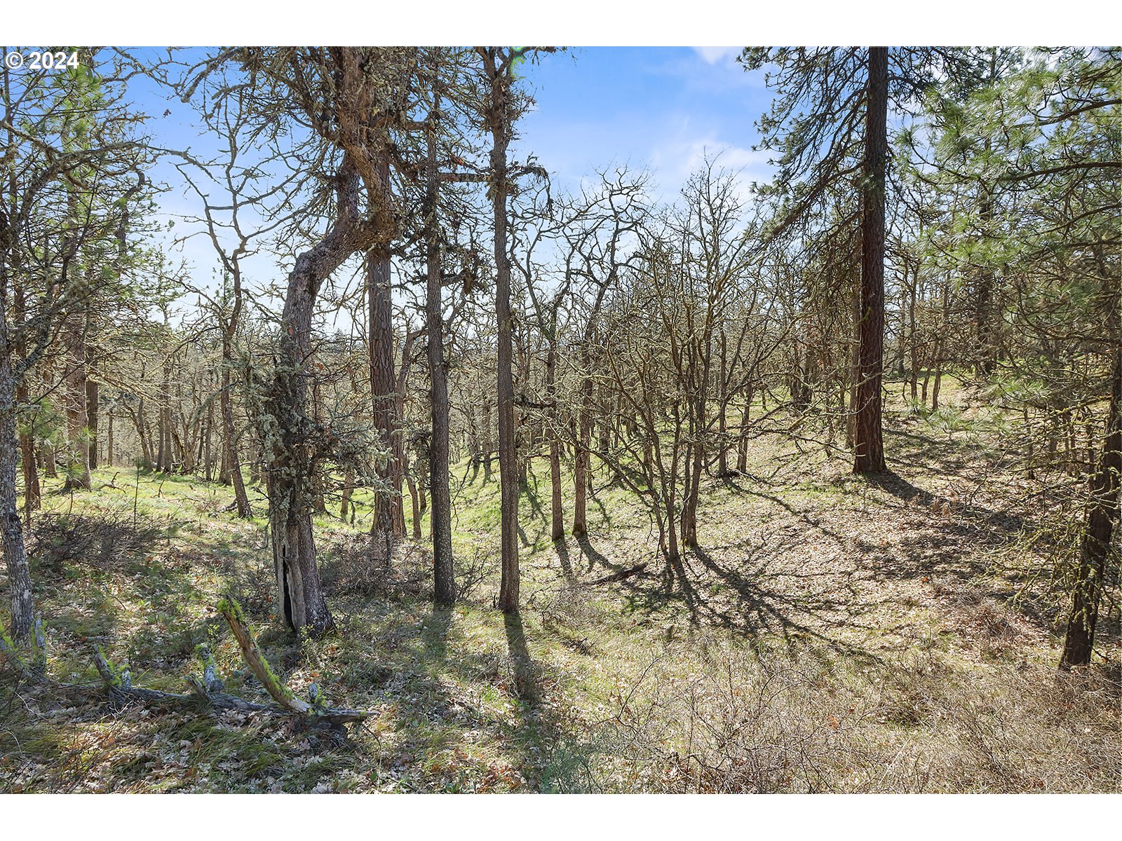 Secluded Way, Unit 4 Lyle, WA 98635 - Photo 14 of 19 a view of outdoor space with deck and tree