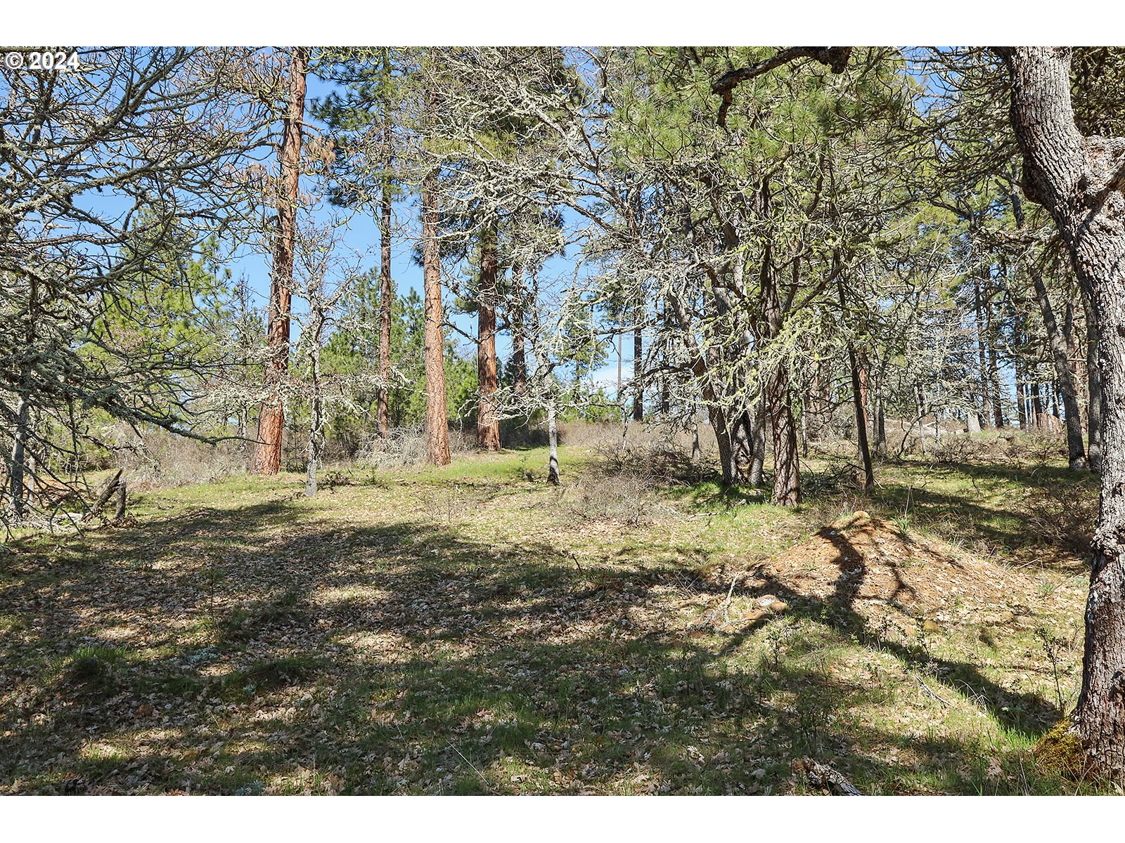 Secluded Way, Unit 4 Lyle, WA 98635 - Photo 15 of 19