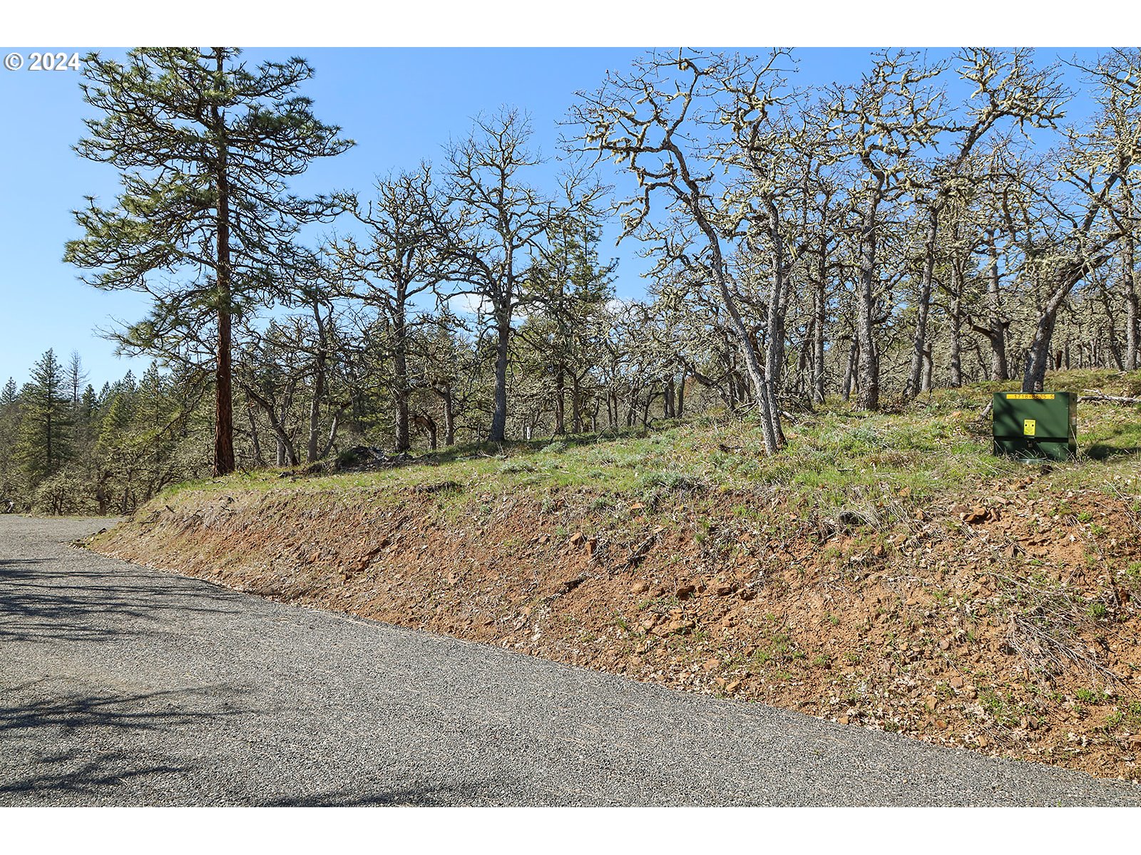Secluded Way, Unit 4 Lyle, WA 98635 - Photo 16 of 19 a view of dirt yard with a tree