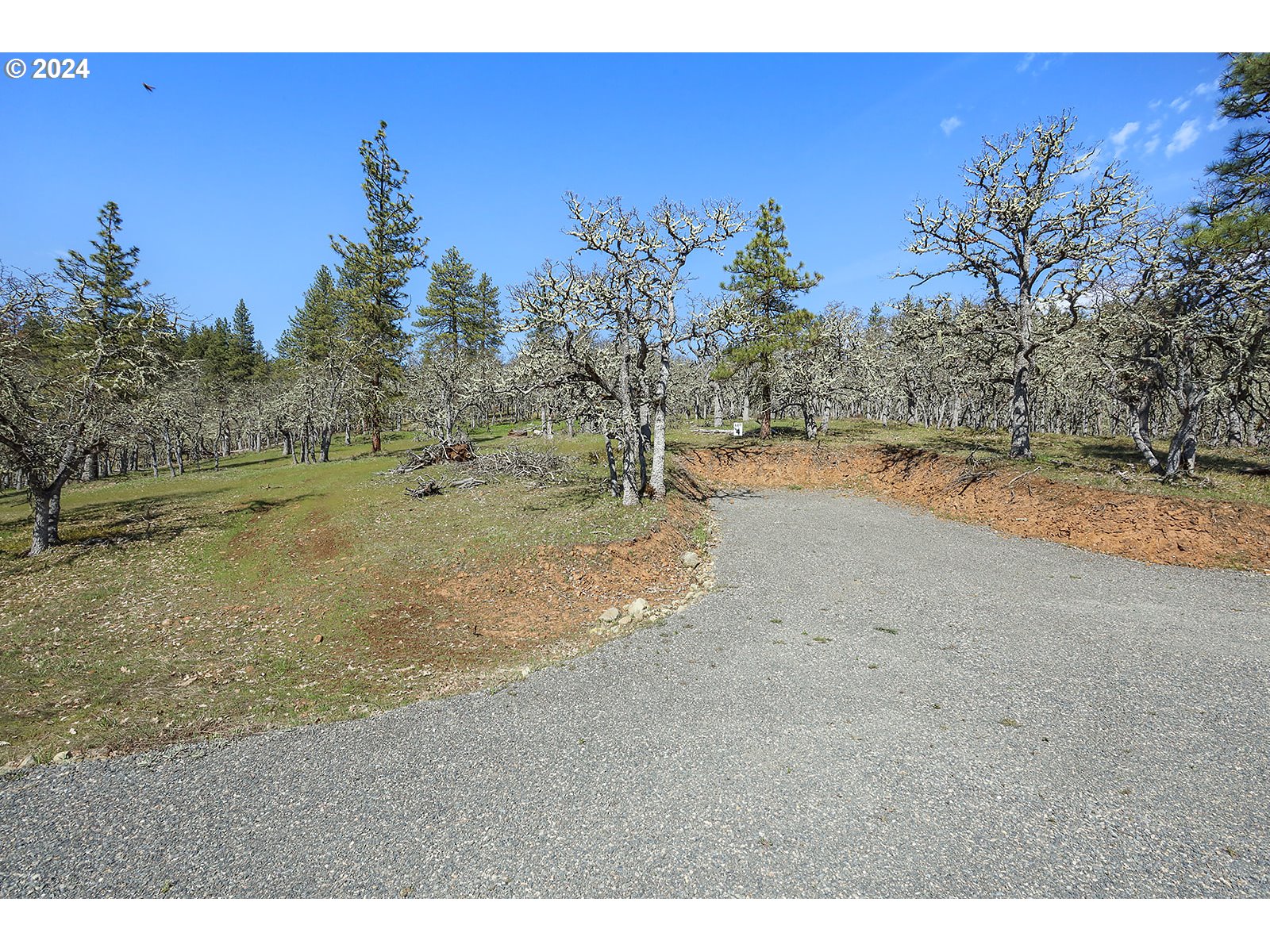 Secluded Way, Unit 4 Lyle, WA 98635 - Photo 6 of 19 a view of a yard with a tree