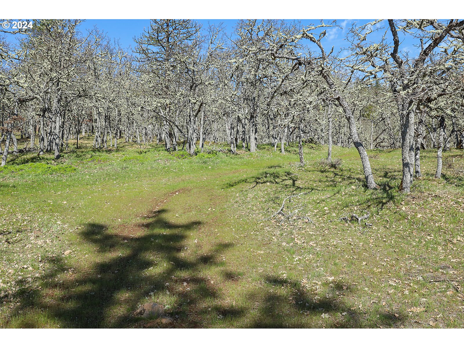 Secluded Way, Unit 4 Lyle, WA 98635 - Photo 7 of 19 a view of a garden with an trees