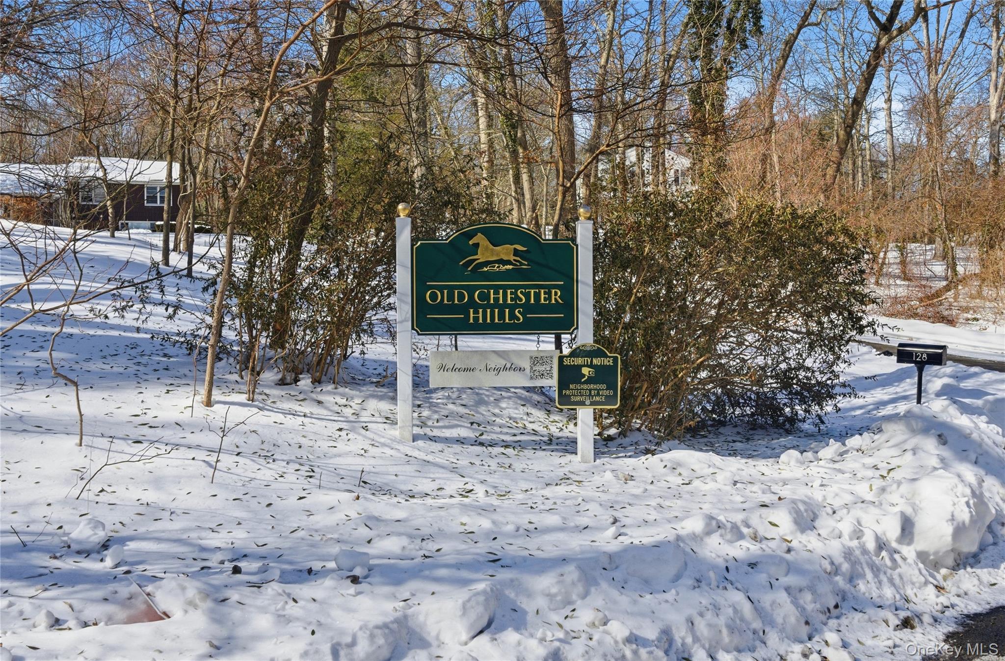 115 Warner Road Huntington, NY 11743 - Photo 3 of 13