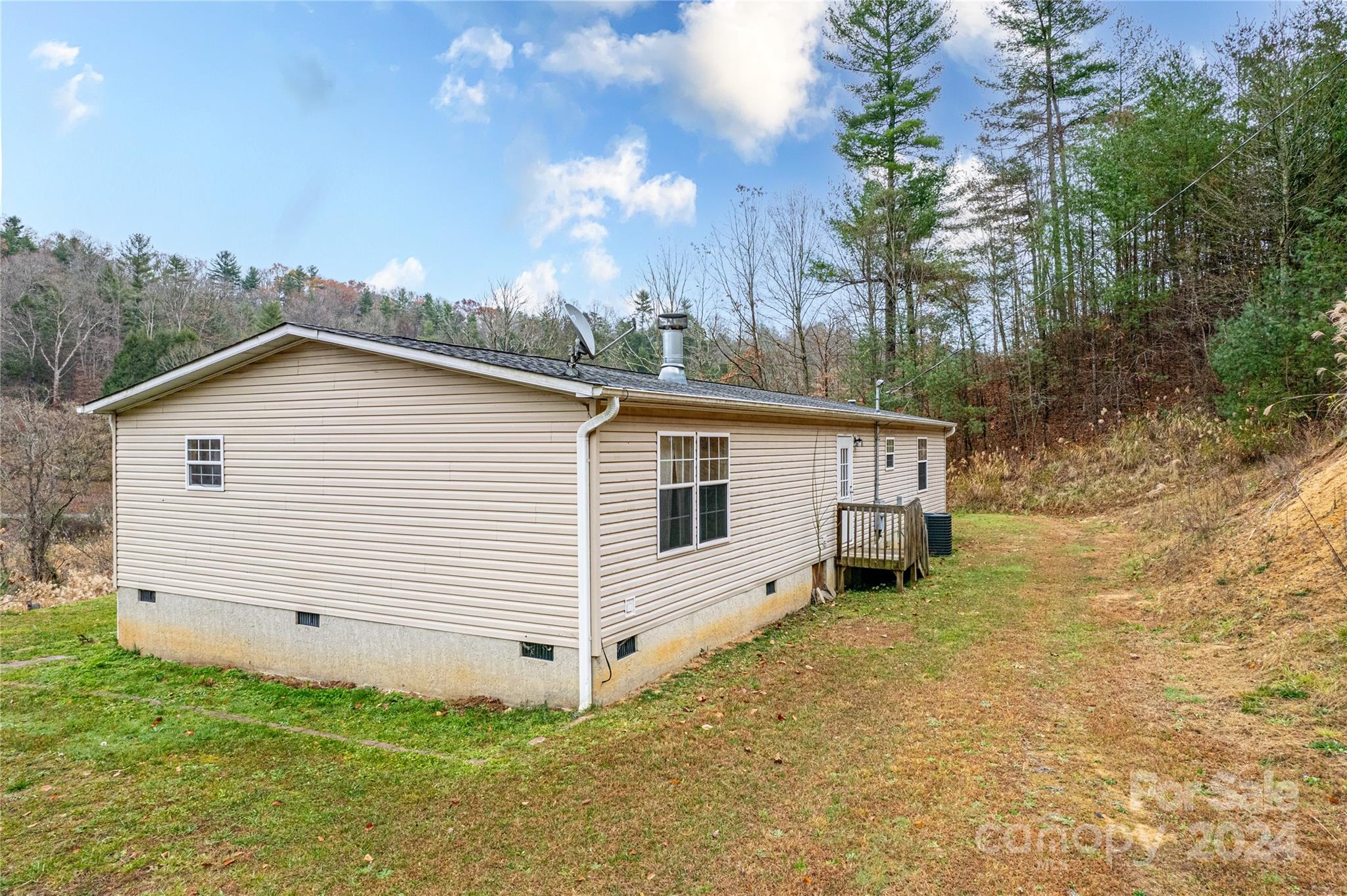 141 Thomas Br Road Marshall, NC 28753 - Photo 3 of 28 Gallery Image 3