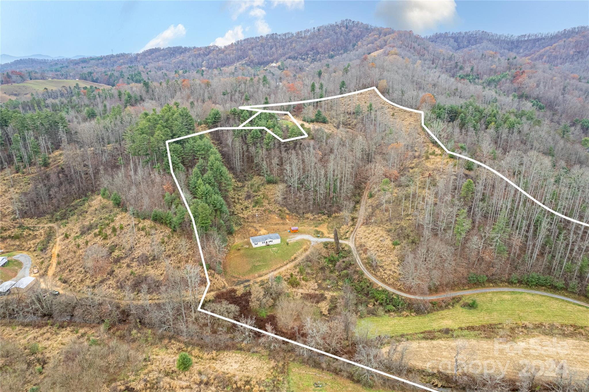 141 Thomas Br Road Marshall, NC 28753 - Photo 6 of 28 Gallery Image 6