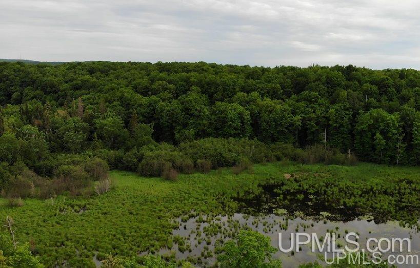 Tbd Off Indian Road Lanse, MI 49946 - Photo 4 of 14