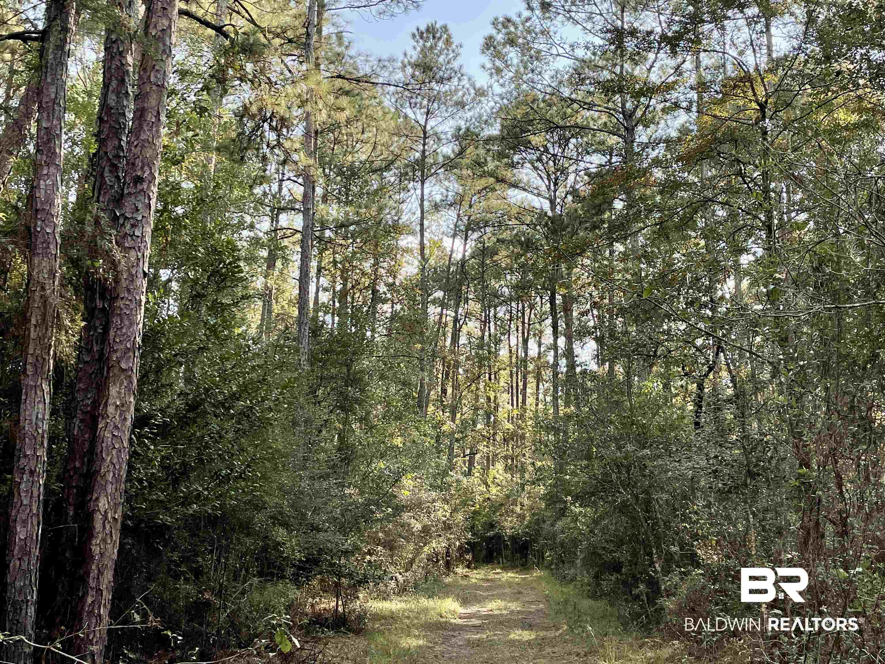 0 Country Road Vinegar Bend, AL 36584 - Photo 18 of 46