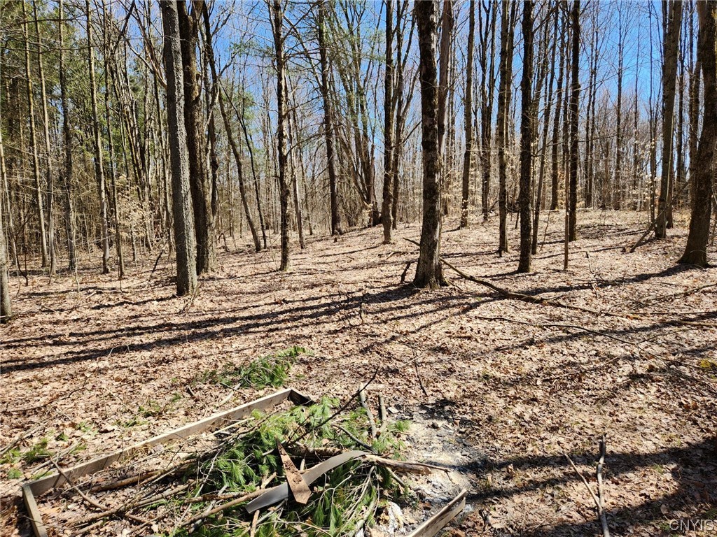 11022 Empeyville Road Florence, NY 13316 - Photo 11 of 30